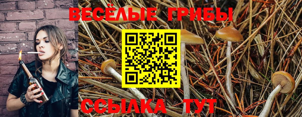 Псилоцибиновые грибы прущие грибы Южноуральск