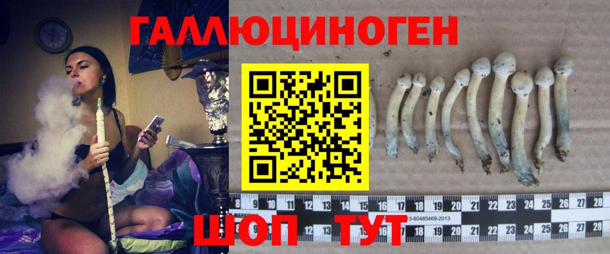 Галлюциногенные грибы Magic Shrooms  хочу   Южноуральск  Вход с VPN 